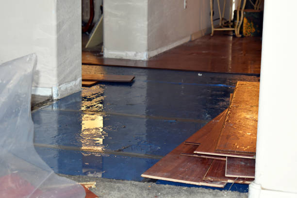 Professional Burst Pipe Cleanup technician working in Lyburn, WV